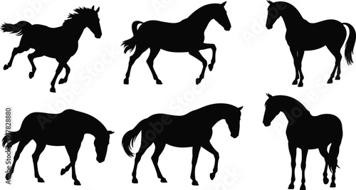 Horse silhouette set, running and standing equine poses collection, black animal shapes, elegant livestock icons, countryside nature vector illustration design
