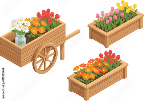 Isometric wooden flower planter set, garden cart with blooming tulips daisies, spring gardening decor, colorful floral vector illustration, isolated background