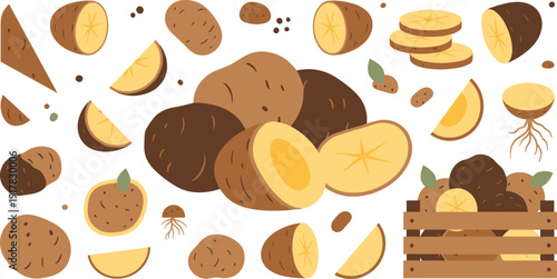 Fresh Potato Harvest with Whole and Sliced Tubers Wooden Crate and Farm Elements Vector Illustration Set for Organic Food Market Design.