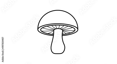 Simple Line Drawing of Mushroom Illustration.