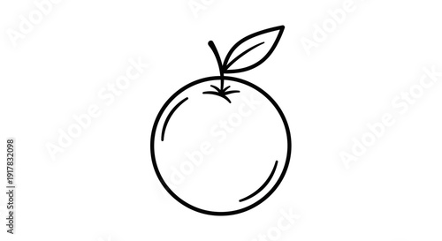 Simple Line Drawing of an Orange Fruit.