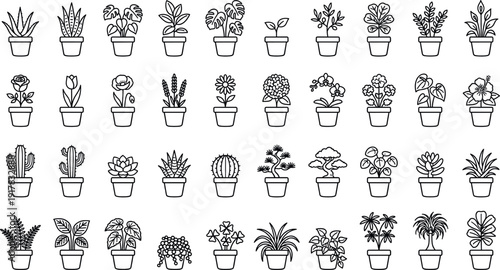 Large collection of minimalist line art potted plant icons and vector illustrations featuring various houseplants flowers cacti succulents and bonsai trees for interior design.