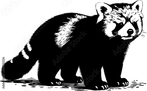 Black and white illustration of a raccoon animal standing and looking forward