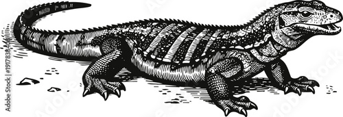 Vintage detailed illustration of a large monitor lizard crawling on the ground with rough textured skin and strong legs