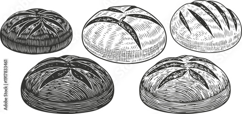 Five round bread loaves illustration fresh baked artisan sourdough rustic bakery food set