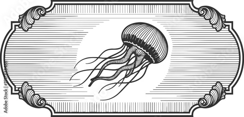 Vintage jellyfish illustration with ornate decorative border, monochrome marine life drawing, detailed ocean creature design