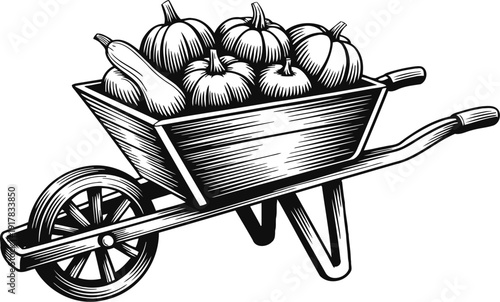 Wheelbarrow full of pumpkins, autumn harvest, gardening tools and seasonal vegetables illustration