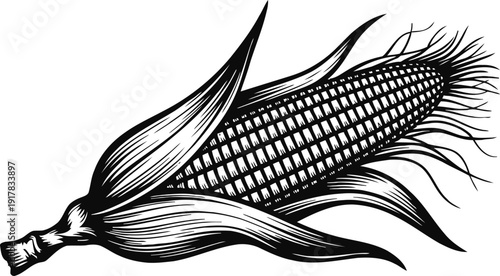 Detailed black and white illustration of an ear of corn with husk and silk strands