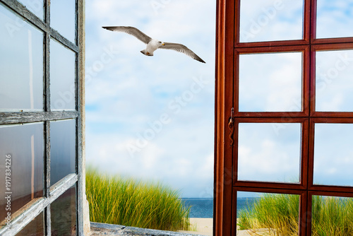 Geöffnetes Fenster zu einer Dünenlandschaft