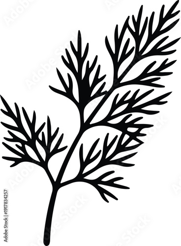 silhouette dill plant branch detail isolated on white vector design
