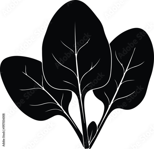silhouette healthy spinach leaves isolated on white background vector design