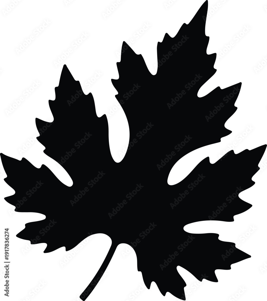 Obraz premium silhouette maple leaf shape isolated on white background vector design