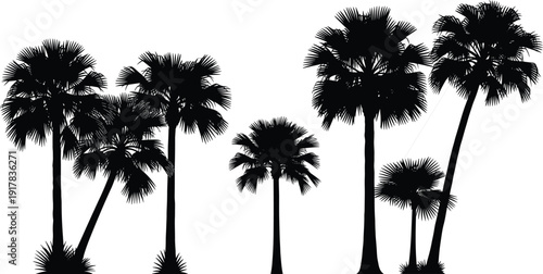 Tropical palm tree silhouettes collection isolated on white background, detailed exotic summer beach plants vector illustration set