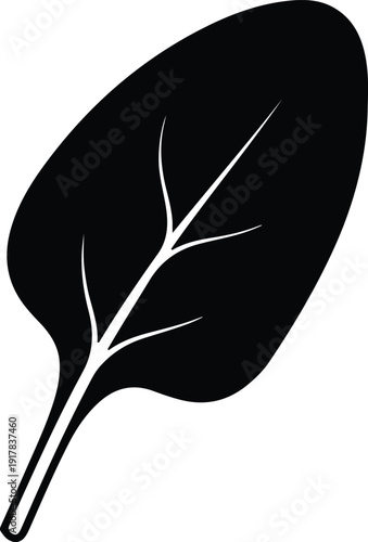 silhouette spinach leaf with veins isolated on white background vector design