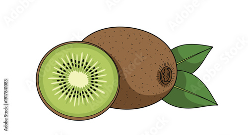 A simple outlined illustration of a whole kiwi fruit with leaves and a kiwi sliced in half, showing its green flesh and black seeds.