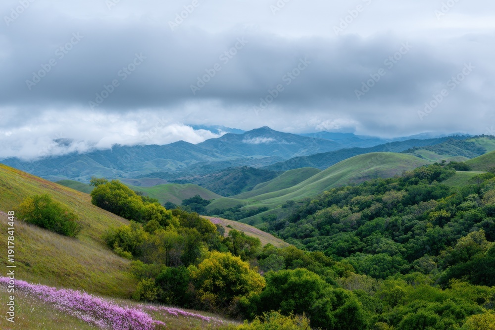 Fototapeta premium Stunning cloudy landscape with rolling hills and vibrant greenery