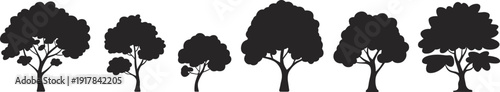 Black tree silhouettes collection, forest woodland icons set, oak maple botanical graphics, nature 