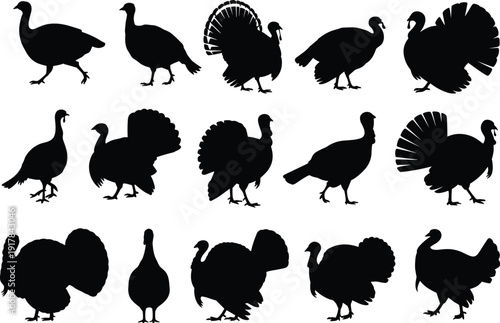 Black turkey silhouettes collection, farm bird icons set, poultry wildlife graphics, thanksgiving holiday elements, domestic bird vector, rustic nature design.