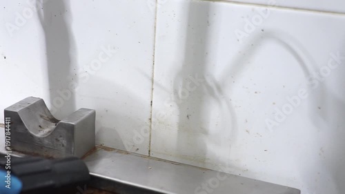 Poor hygiene and pest problem in a neglected commercial kitchen