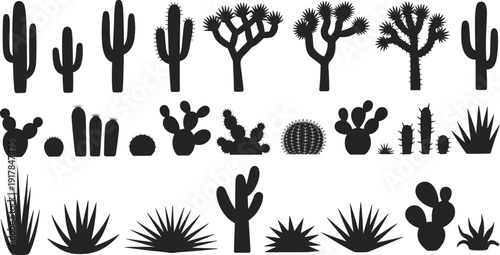 Desert cactus and succulent silhouette collection on white background, black agave saguaro prickly pear isolated, western nature design elements for outdoors,