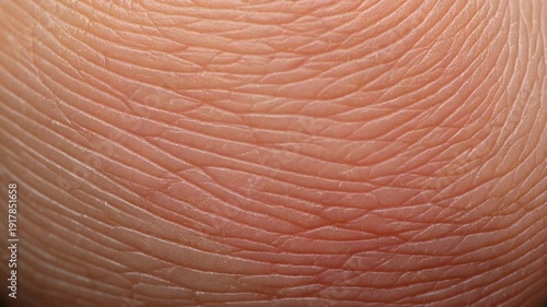 Extreme macro close up shot showcasing the intricate, detailed, and unique texture of human skin ridges and dermal papillae lines on a fingertip or toe pad, revealing