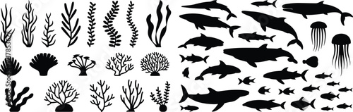 Marine life silhouette collection featuring various fish sharks whales jellyfish coral reefs and underwater sea plants isolated on white background