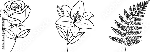 Minimalist line art of a rose, lily, and fern on a white background