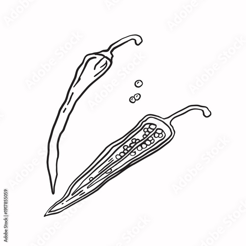 Hot pepper bell pepper sketch monochrome vector