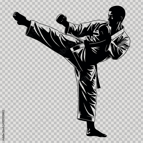 Martial arts silhouette karate practitioner executing a high kick