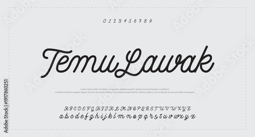 Hand drawn vector alphabet. Modern monoline signature script font. Elegant Signature Font. Best Alphabet Beautiful Calligraphy Signature Font 