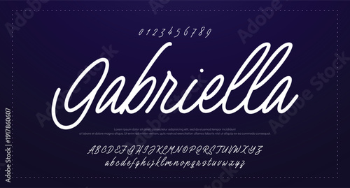 Hand drawn vector alphabet. Modern monoline signature script font. Elegant Signature Font. Best Alphabet Beautiful Calligraphy Signature Font 