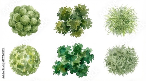 Top view landscape plan symbols showing watercolor trees and shrubs for architectural design