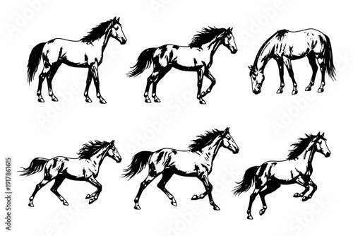 Hand-Drawn Horse Pose Silhouettes Set with Running, Standing, Jumping, and Grazing Horse Vector Collection