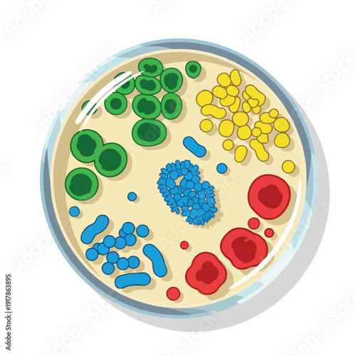 Colorful Microbial Culture in Petri Dish for Scientific Research and Laboratory Use