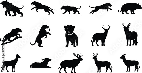 Collection of animal silhouettes