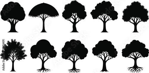 Black tree silhouette icons set, deciduous and evergreen forest plant shapes, nature symbols for landscaping and environmental logo design projects,
