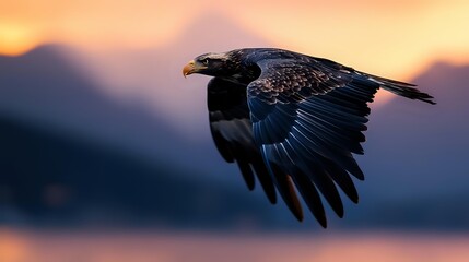 Majestic bald eagle soaring through golden sunset sky with spread wings over mountain landscape. Wildlife photography capturing freedom and power in flight.