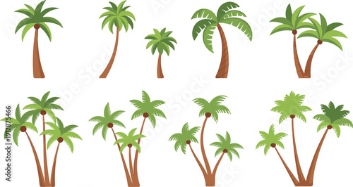 Set of stylized palm tree illustrations, tropical summer beach design elements, cartoon coconut trees collection isolated on white background