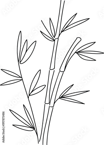 Simple black and white bamboo line drawing, minimalist botanical plant illustration, elegant oriental outline isolated on white background