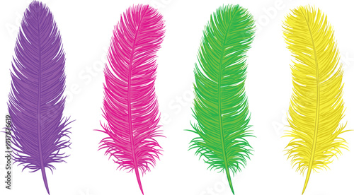 Colorful feather illustration set with purple, pink, green, and yellow designs, detailed line art, vibrant vector drawing for nature, art, design, and education themes