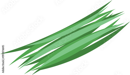 Vibrant green onions, isolated on white, offering a burst of fresh flavor for any dish