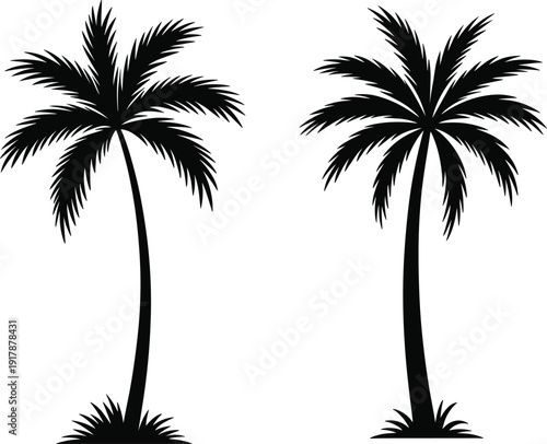 Two palm tree silhouettes, tropical design, exotic nature, beach theme, botanical illustration, decorative resource, landscape art