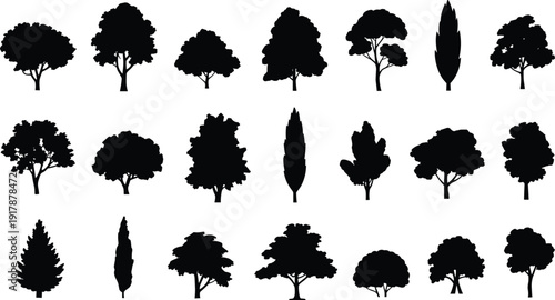 Twenty tree silhouettes, diverse foliage patterns, seasonal variations, botanical illustration, landscape design, educational resource, nature diversity
