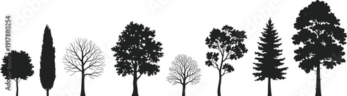 ilhouettes of diverse trees, seasonal variations, botanical illustration, nature diversity, educational resource, landscape design reference