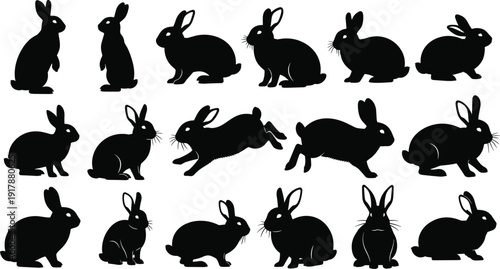 Silhouettes of rabbits in diverse poses including sitting, hopping, crouching, and standing, representing wildlife, animal behavior, nature, pet themes, and design concepts