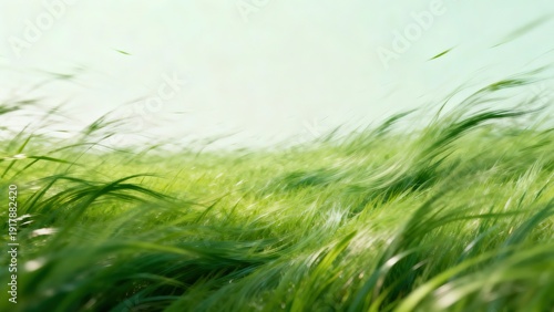 Beautiful green grass field with motion blur effect, spring summer nature background, soft focus on wind blowing through blades
