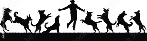 Silhouette of a person surrounded by jumping dogs on grass