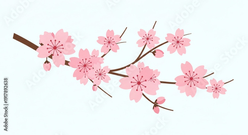 Pink cherry blossoms on a branch with brown stems and light blue background