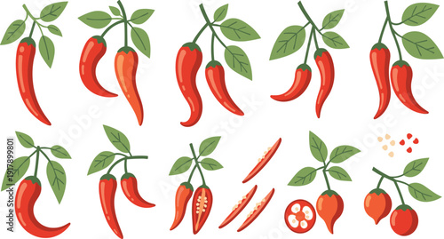 Red Chili Pepper Plant Set with Fresh Hot Peppers, Leaves, Sliced Pieces, and Spicy Ingredient for Cooking Vector Collection.