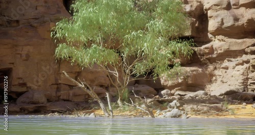 A serene river flows gently near rocky cliffs, showcasing a vibrant green tree on the bank. Sunlight reflects off the water, creating a peaceful atmosphere in nature.